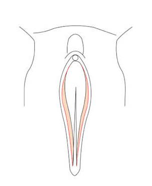 Treatment after outcome